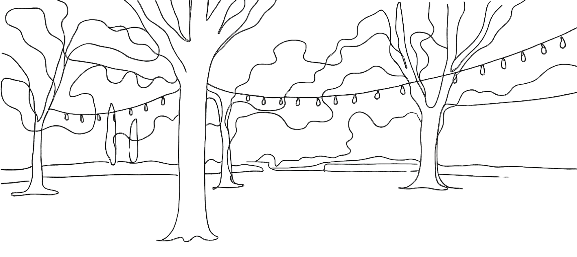 Arbres du Château de Valmousse